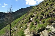 70 Sul sentiero di salita dal Passo di Tartano a Cima di Lemma 